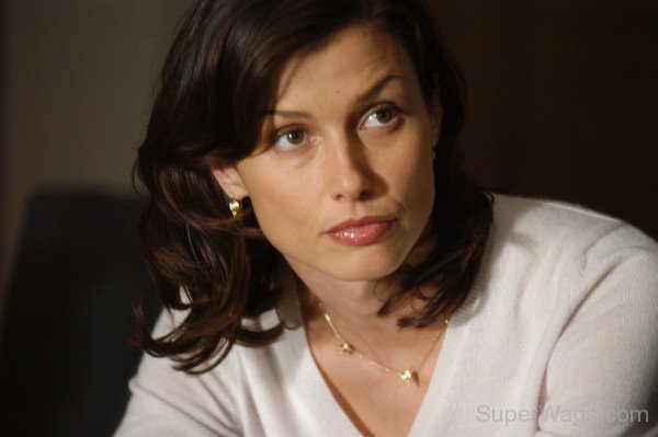 Marvelous Bridget Moynahan