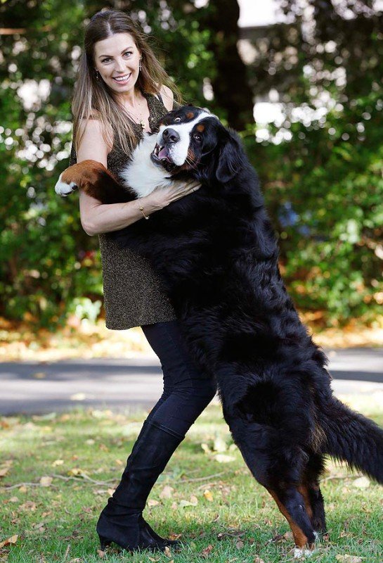 Aoife Cogan Playing With Dog